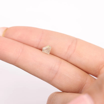 0.91 Ct Kite Brilliant Cut  Salt and Pepper Diamond