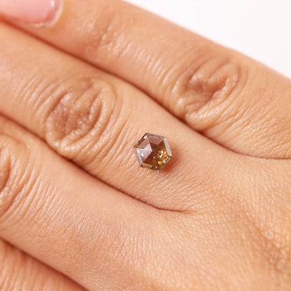 0.95 Ct Hexagon Brilliant Cut Salt and Pepper Diamond