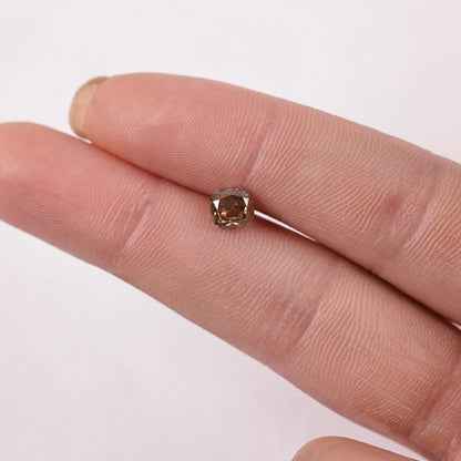 0.97 Ct Cushion Rose Cut Salt and Pepper Diamond