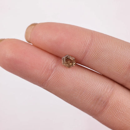 0.86 Ct Hexagon Brilliant Cut Salt and Pepper Diamond