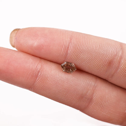 0.76 Ct Hexagon Brilliant Cut Salt and Pepper Diamond
