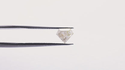 0.91 Ct Kite Brilliant Cut  Salt and Pepper Diamond