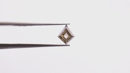 0.74 Ct Kite Brilliant Cut Salt and Pepper Diamond