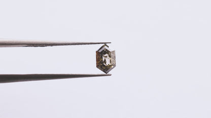 0.80 Ct Hexagon Brilliant Cut Salt and Pepper Diamond