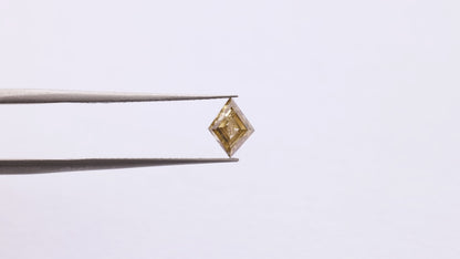 0.86 Ct Kite Brilliant Cut Salt and Pepper Diamond
