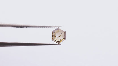 0.95 Ct Hexagon Brilliant Cut Salt and Pepper Diamond