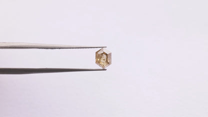0.86 Ct Hexagon Brilliant Cut Salt and Pepper Diamond