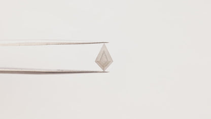 1.04 Ct Kite  Salt and Pepper Diamond