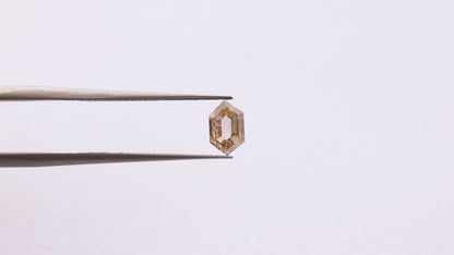 0.76 Ct Hexagon Brilliant Cut Salt and Pepper Diamond