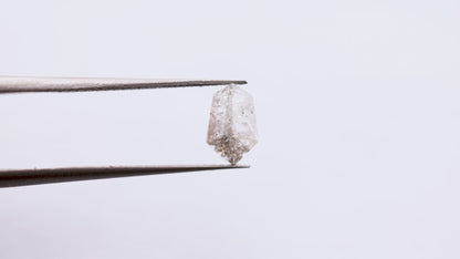 0.80 Ct Shield cut Brilliant Cut Salt and Pepper Diamond