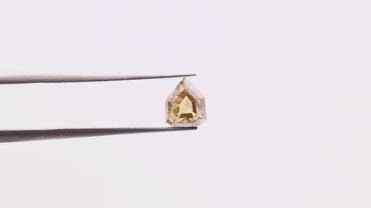 1.01 Ct Shield cut Brilliant Cut Salt and Pepper Diamond