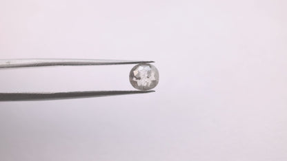 0.60 Ct Cushion Brilliant Cut Salt and Pepper Diamond