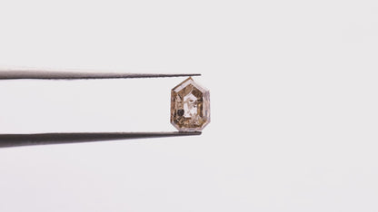 0.86 Ct Hexagon Brilliant Cut Salt and Pepper Diamond