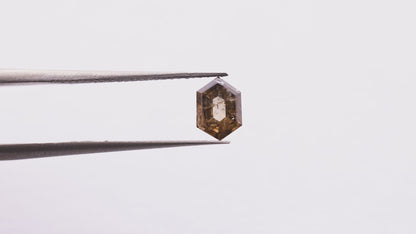 0.72 Ct Hexagon Brilliant Cut Salt and Pepper Diamond