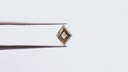 0.85 Ct Kite Brilliant Cut Salt and Pepper Diamond