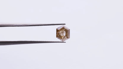0.97 Ct Hexagon Brilliant Cut Salt and Pepper Diamond